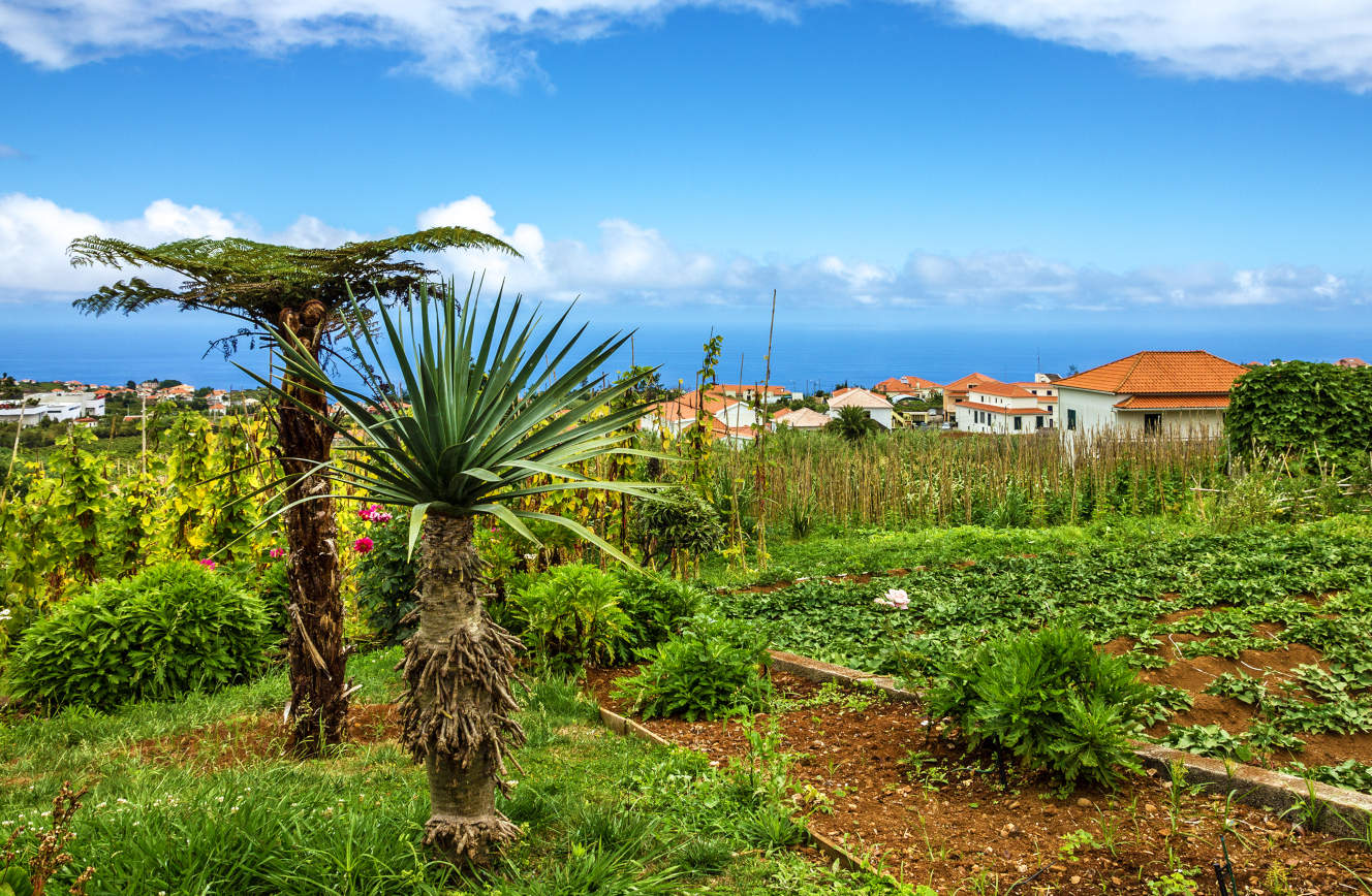 Flydrive Kleurrijk Madeira